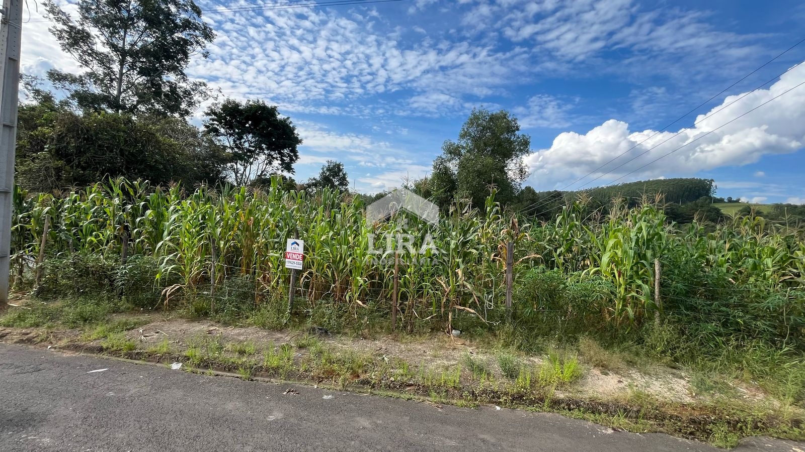 Chácara – Área 6