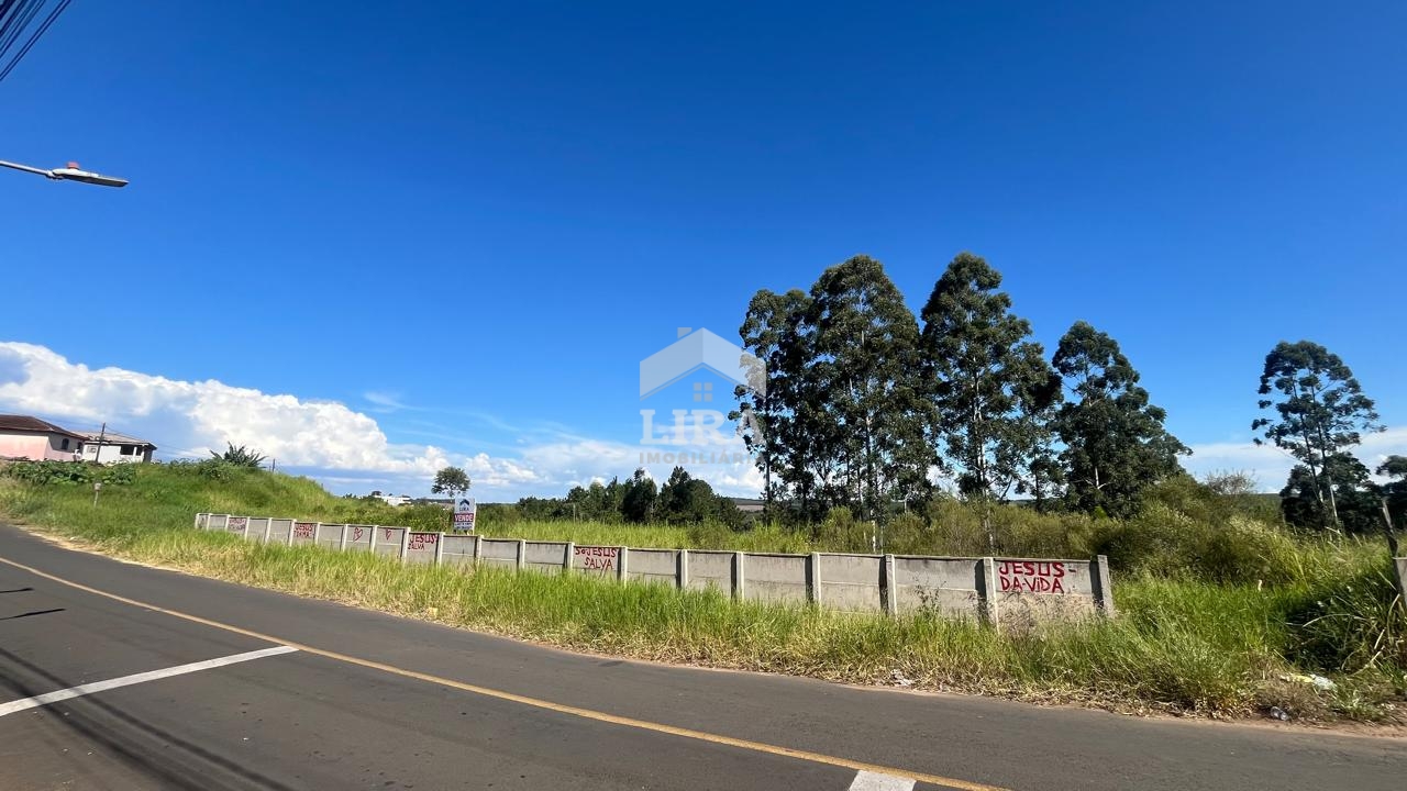 Lote – Alto das Oliveiras
