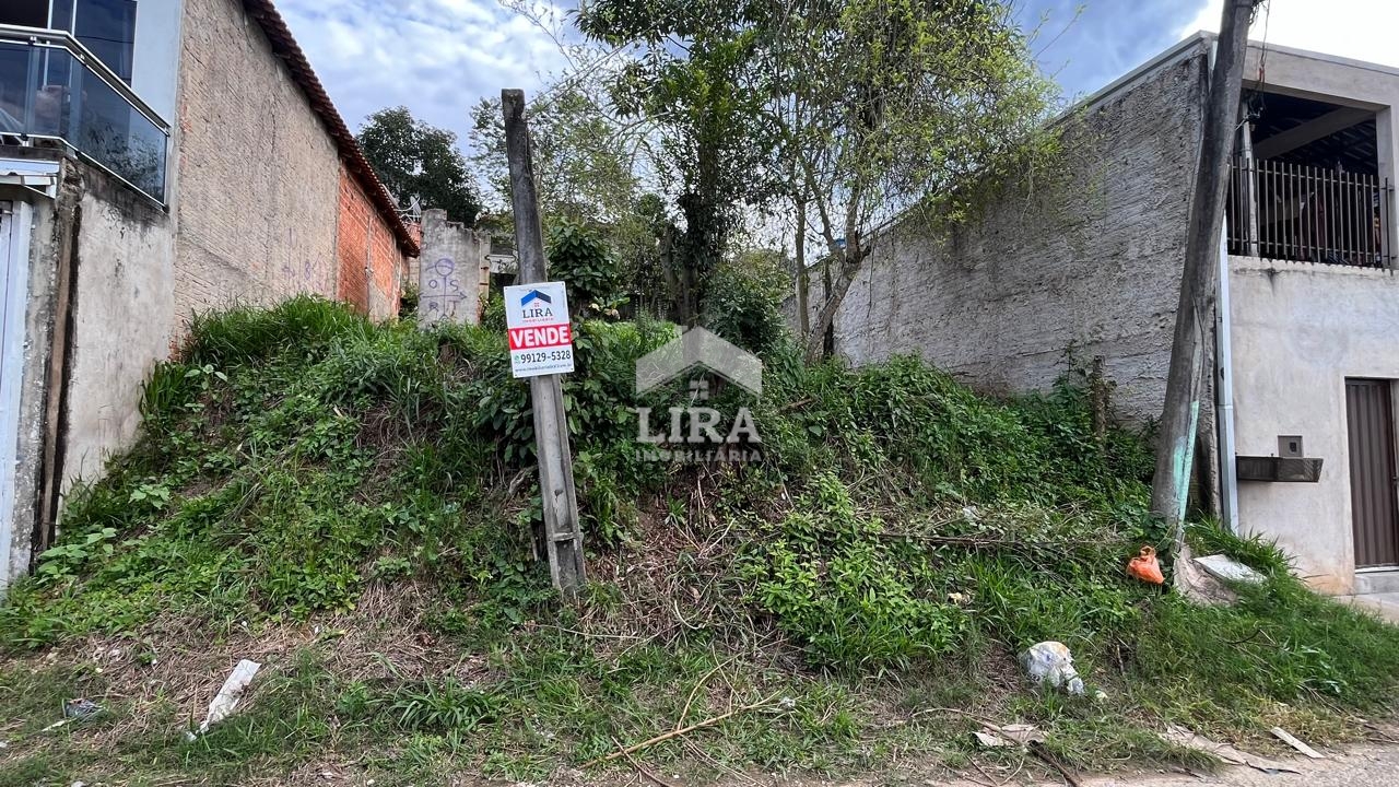 Lote –  Ana Mary